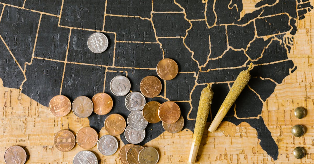 découvrez les avantages de l'investissement d'impact, une approche qui allie rentabilité financière et bénéfices sociaux. explorez comment vos investissements peuvent contribuer à des causes significatives tout en générant des rendements durables.